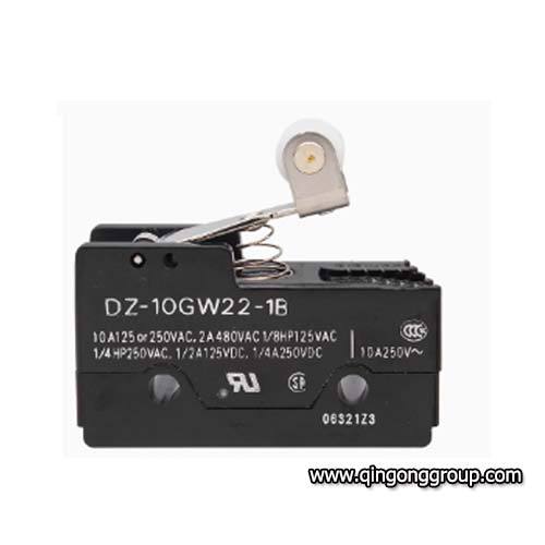 DZ10GW221B limit switch.jpg