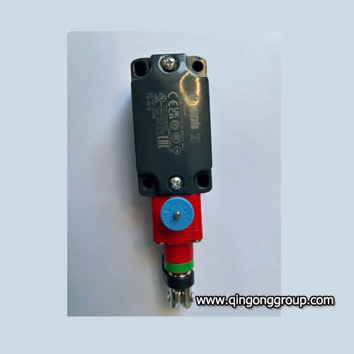 FD1878 Pizzato Switch.jpg