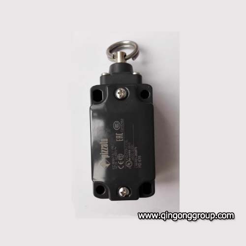 FD 676 Pizzato Limit Switches.jpg