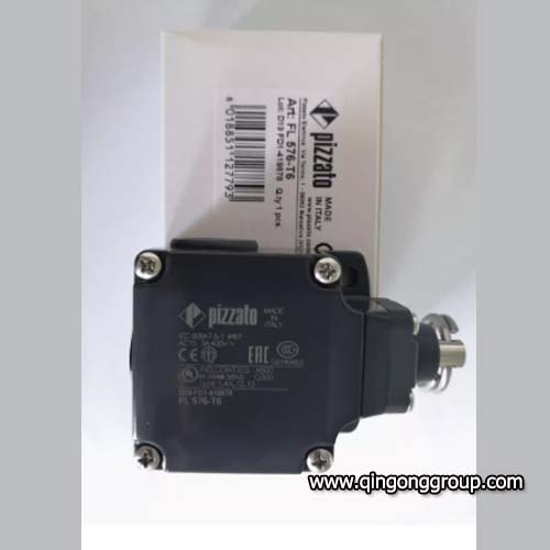 FL 576-T6 Limit Switches.jpg