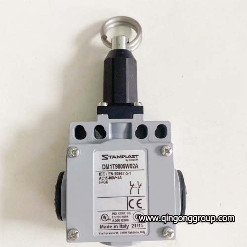 DM1T9805Z11A Limit switch.jpg