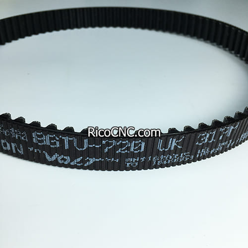 Poly Chain Belt.jpg