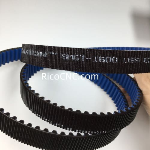 Poly Chain GT Carbon Belt.jpg