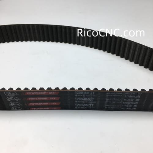 PowerGrip GT4 Belt.jpg