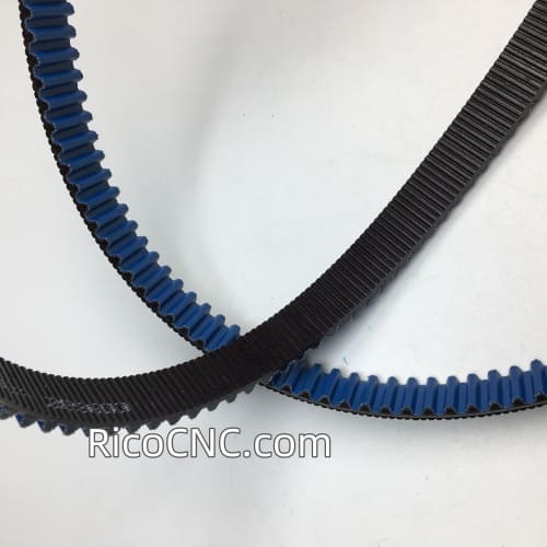 Poly Chain GT Carbon Belt .jpg