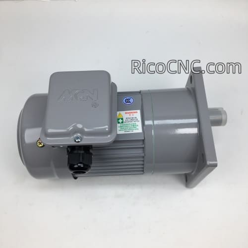 Induction Geared Motor.jpg