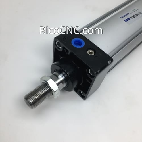 Roany pheumatic cylinder.jpg