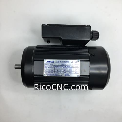 Gong Ji induction Motor.jpg