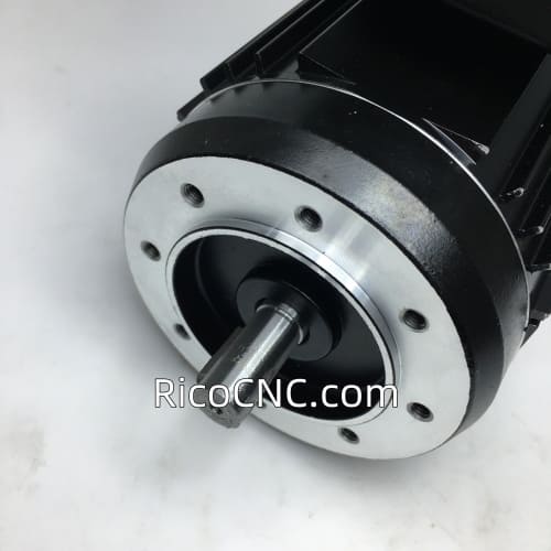 GONGJI M3T2044004XHL MOTOR MAGAZINE.jpg