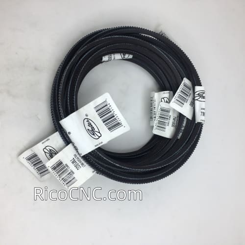 7M1800 Gates Polyflex Belt.jpg