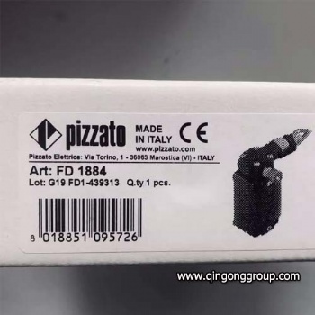 FD 1884 Pizzato Rope Safety Switches 250V 6A