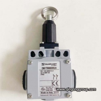 DM1T9805Z11A Comepi Limit Switch 4A 24V